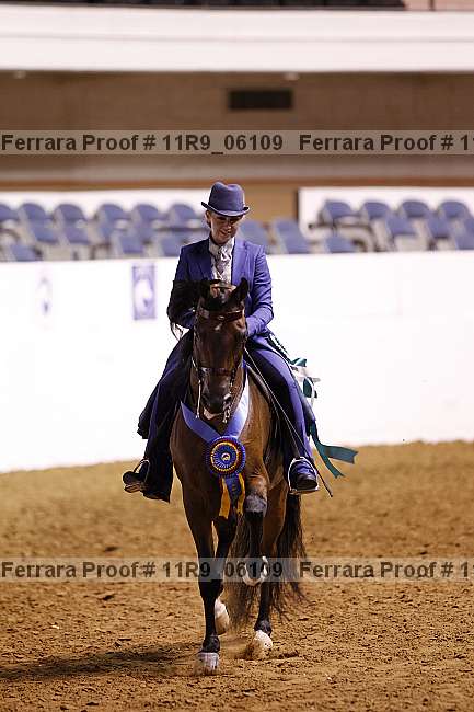 Proof 11r9_06109