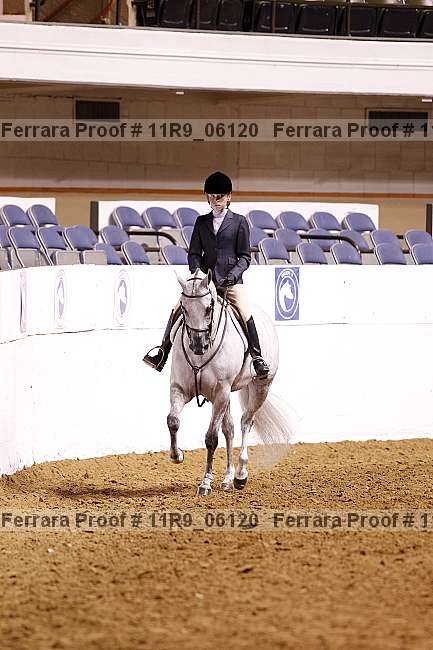Proof 11r9_06120