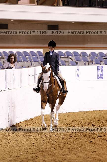 Proof 11r9_06126