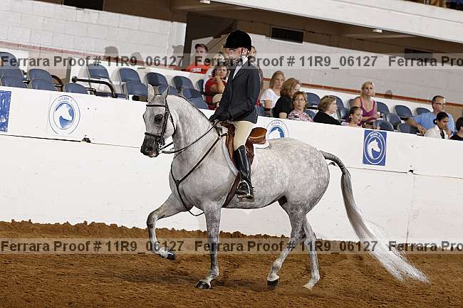 Proof 11r9_06127