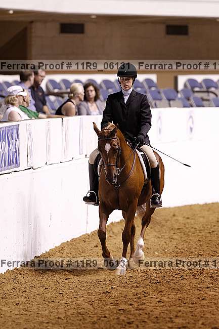 Proof 11r9_06131