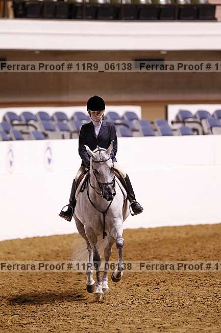 Proof 11r9_06138