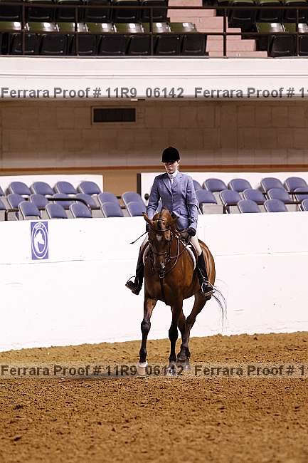 Proof 11r9_06142