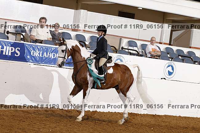 Proof 11r9_06156