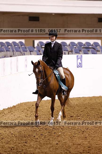 Proof 11r9_06157