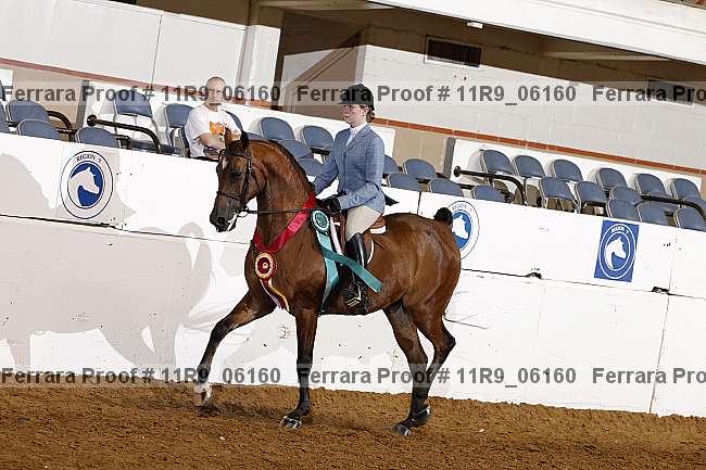 Proof 11r9_06160