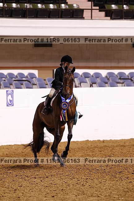 Proof 11r9_06163