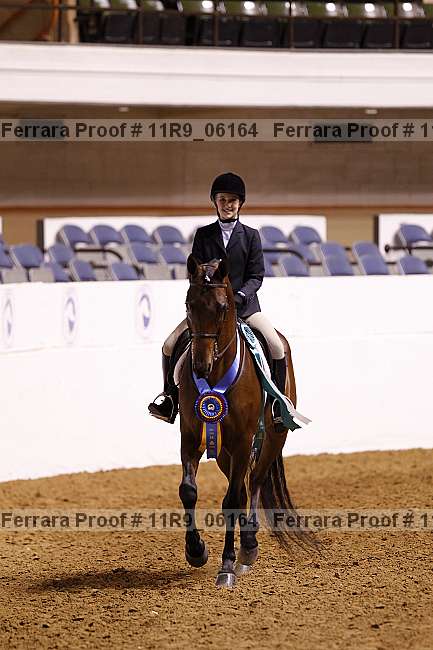 Proof 11r9_06164