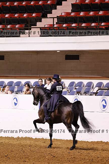 Proof 11r9_06174