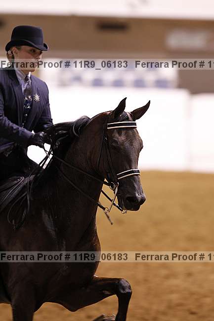 Proof 11r9_06183