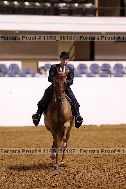 Proof 11r9_06187