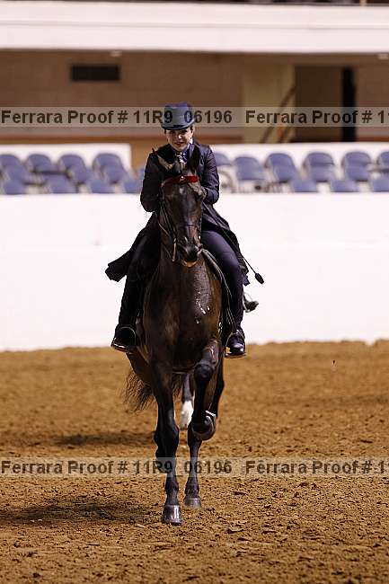 Proof 11r9_06196