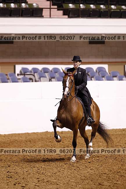 Proof 11r9_06207