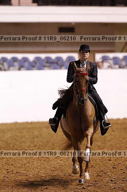 Proof 11r9_06210