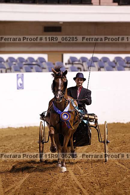 Proof 11r9_06285
