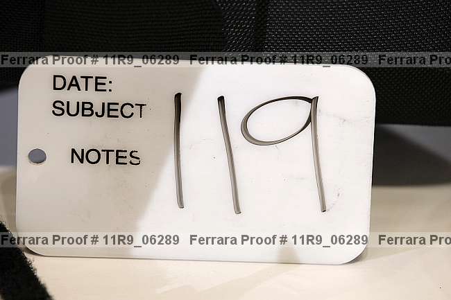 Proof 11r9_06289