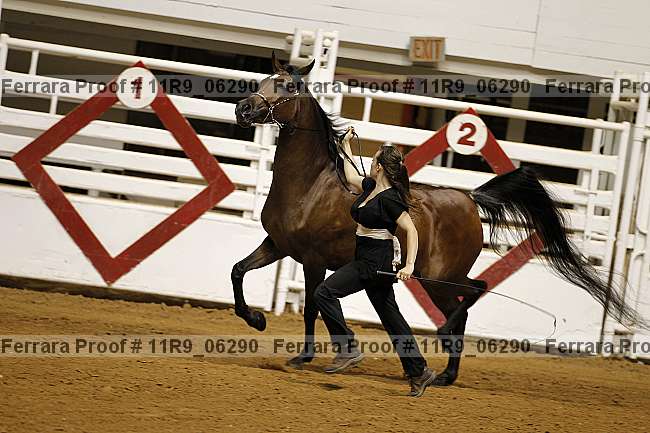 Proof 11r9_06290