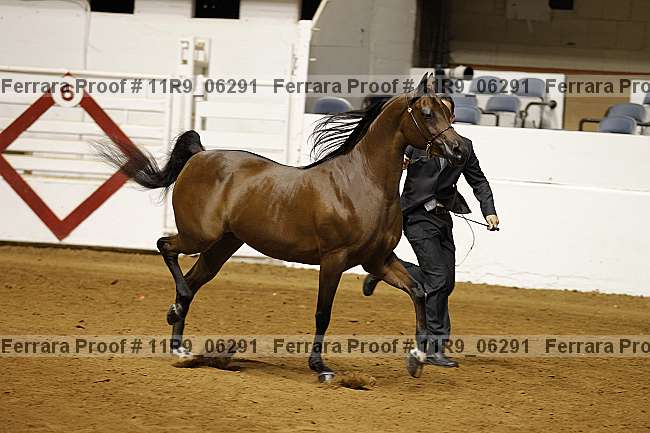 Proof 11r9_06291