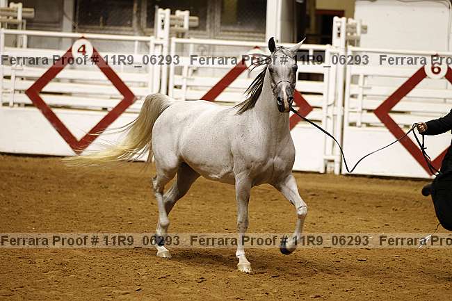 Proof 11r9_06293