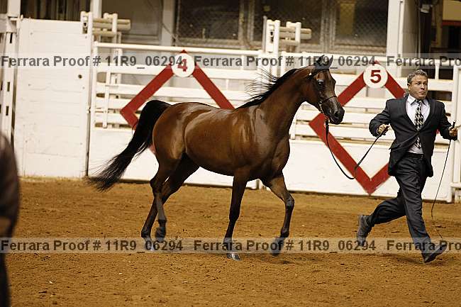 Proof 11r9_06294