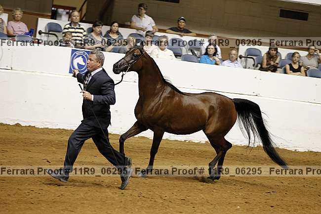 Proof 11r9_06295