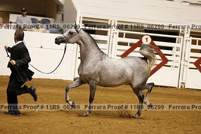 Proof 11r9_06299