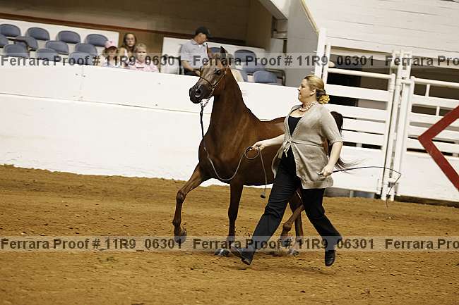 Proof 11r9_06301