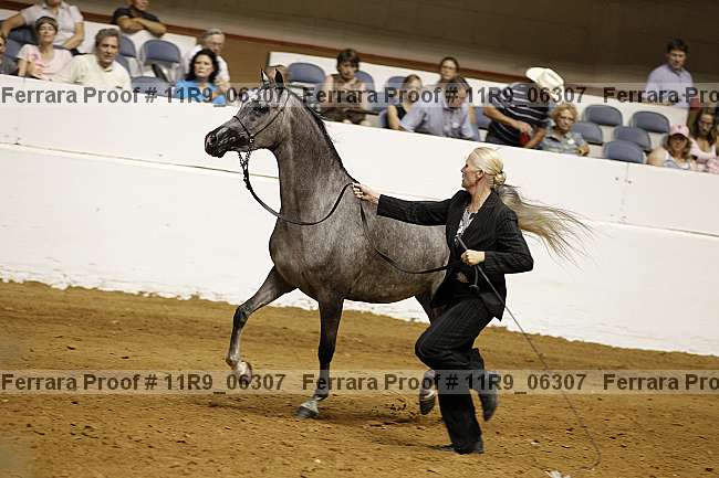 Proof 11r9_06307