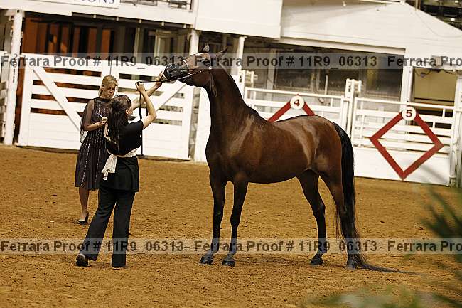 Proof 11r9_06313