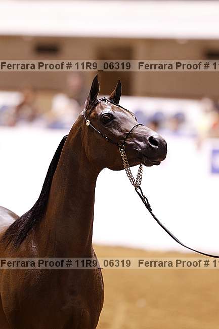 Proof 11r9_06319