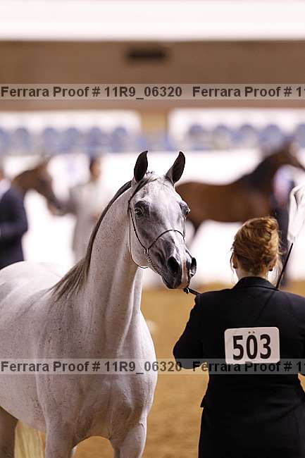 Proof 11r9_06320