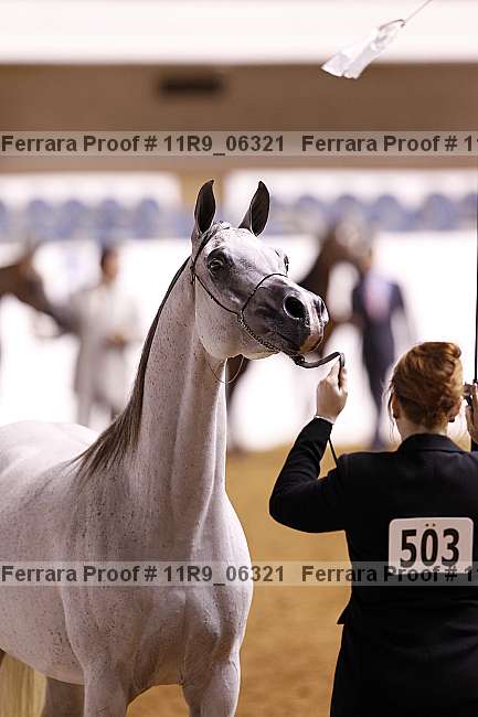 Proof 11r9_06321