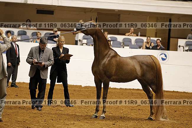 Proof 11r9_06346