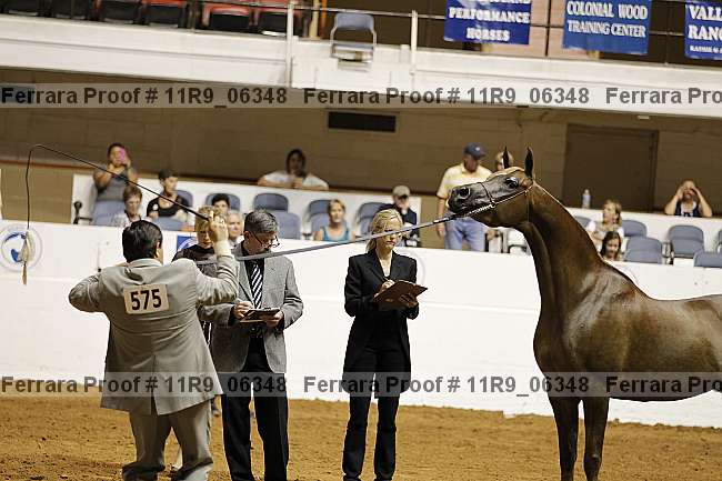 Proof 11r9_06348
