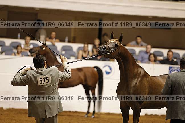 Proof 11r9_06349
