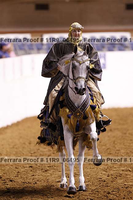 Proof 11r9_06495