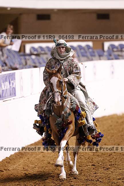 Proof 11r9_06498