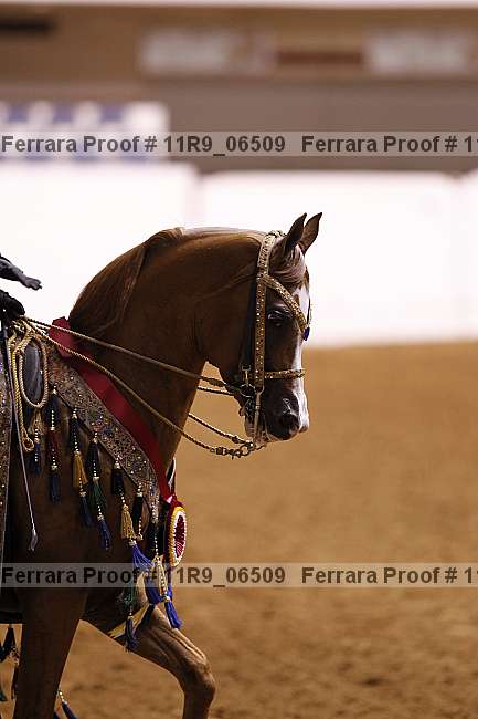 Proof 11r9_06509