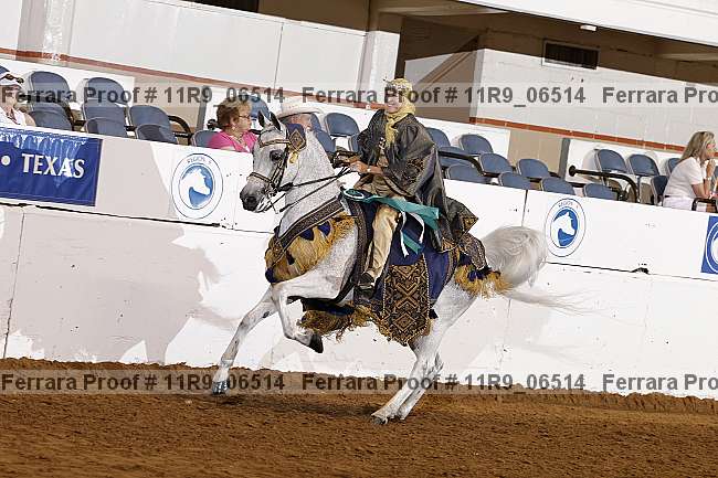 Proof 11r9_06514