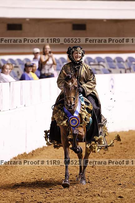 Proof 11r9_06523