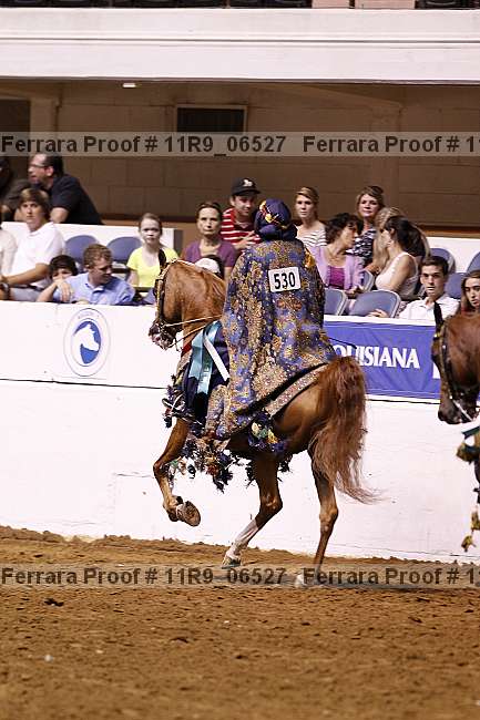 Proof 11r9_06527
