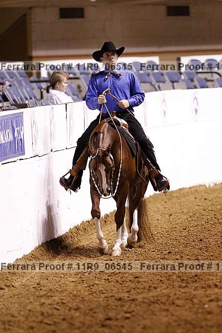 Proof 11r9_06545
