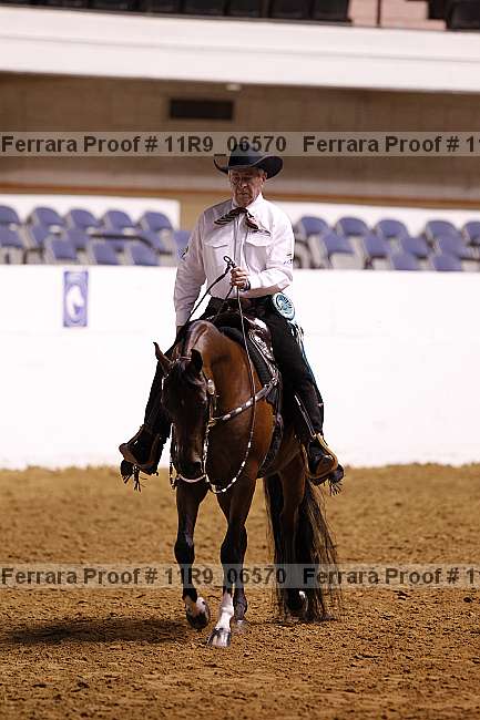 Proof 11r9_06570