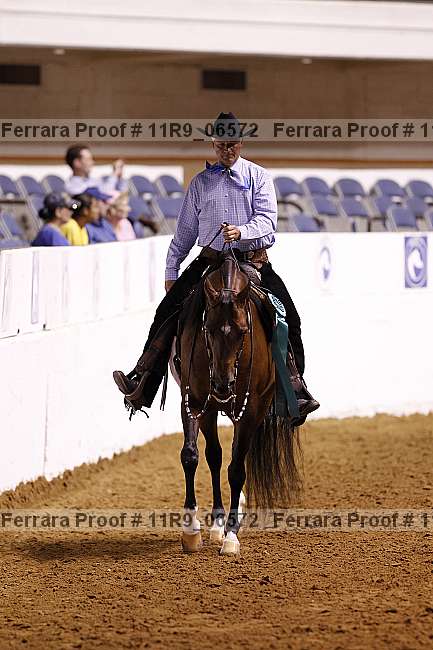 Proof 11r9_06572