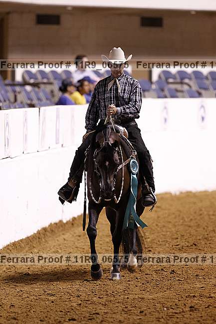 Proof 11r9_06575