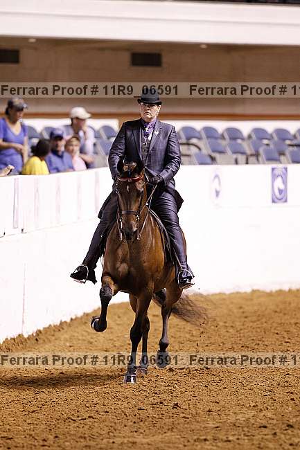 Proof 11r9_06591