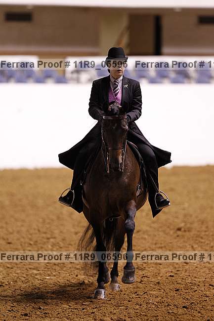 Proof 11r9_06596