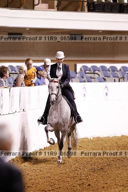 Proof 11r9_06598