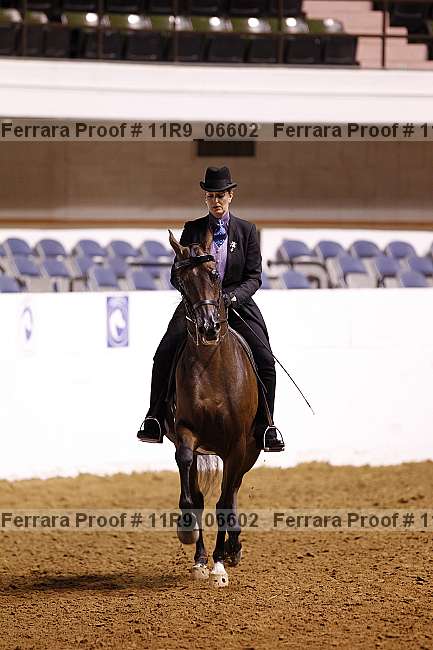 Proof 11r9_06602