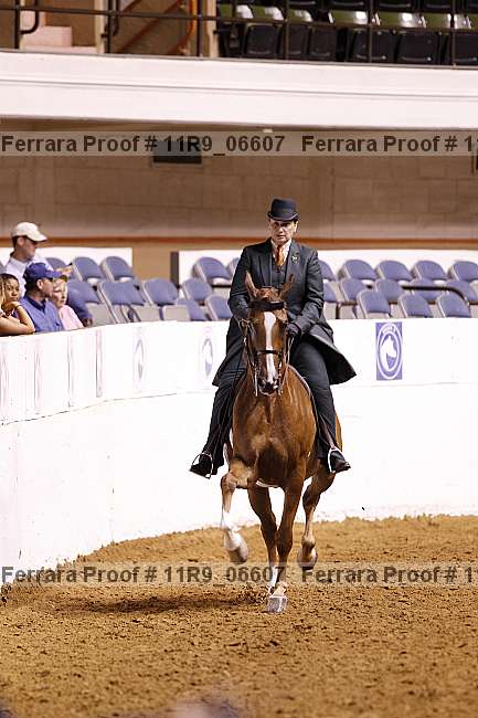 Proof 11r9_06607